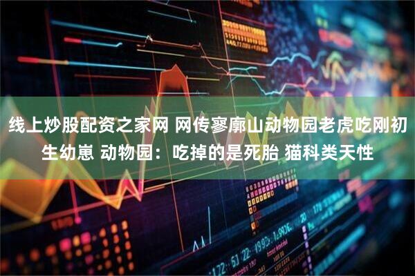 线上炒股配资之家网 网传寥廓山动物园老虎吃刚初生幼崽 动物园：吃掉的是死胎 猫科类天性